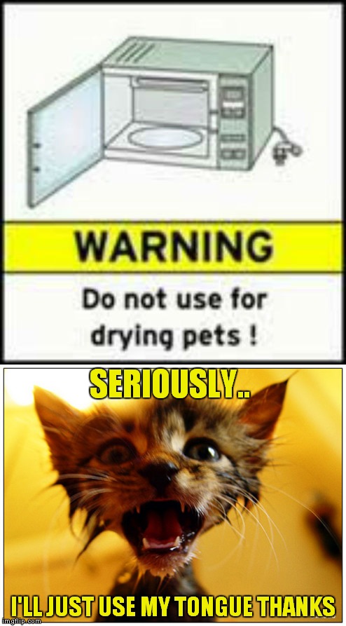 The problem is that somebody who would think this is a good idea, most likely can't read... | SERIOUSLY.. I'LL JUST USE MY TONGUE THANKS | image tagged in microwave,drying,cat | made w/ Imgflip meme maker