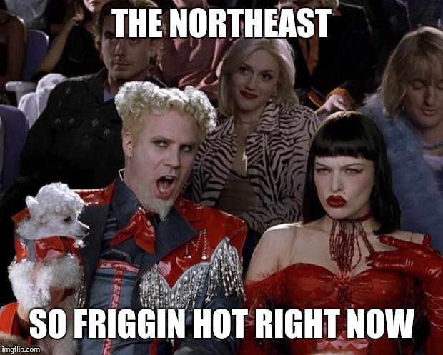 We are just not used to 100 degree weather | THE NORTHEAST; SO FRIGGIN HOT RIGHT NOW | image tagged in memes,mugatu so hot right now | made w/ Imgflip meme maker