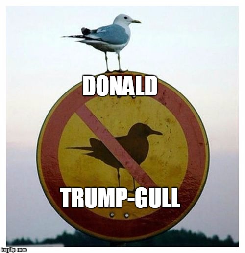 It Ain't Rocket Science: The best choice will naturally be the one that a heavily corrupted political establishment rejects | DONALD; TRUMP-GULL | image tagged in donald trump,donald trump-gull | made w/ Imgflip meme maker