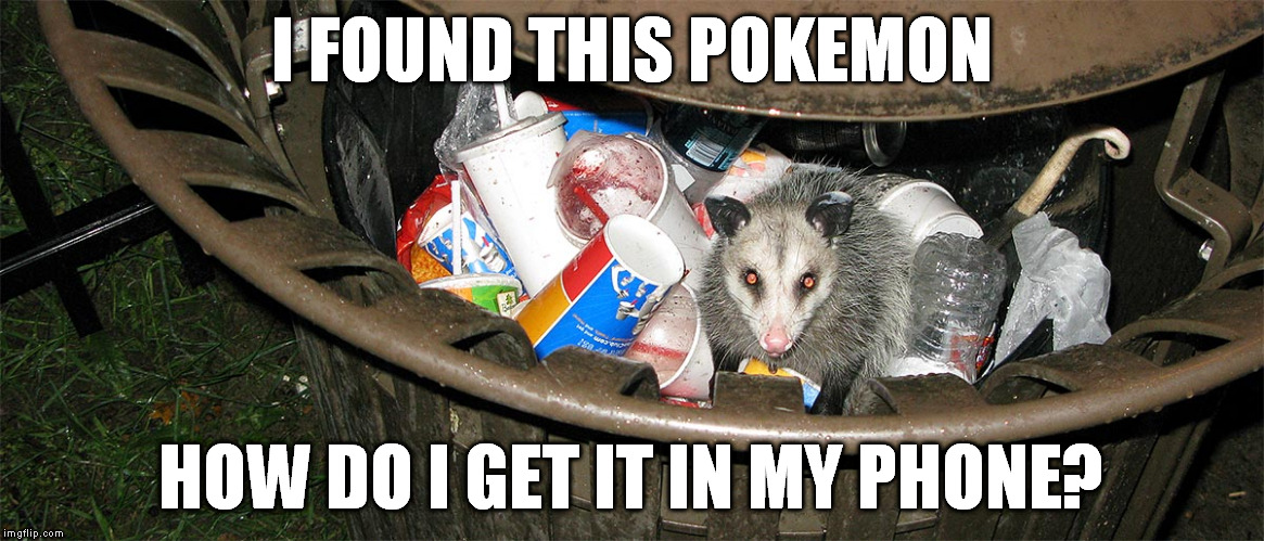 I FOUND THIS POKEMON; HOW DO I GET IT IN MY PHONE? | image tagged in pokemon | made w/ Imgflip meme maker