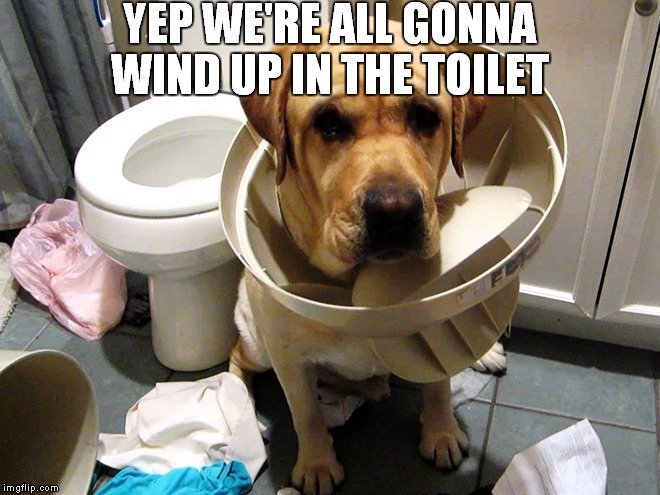 YEP WE'RE ALL GONNA WIND UP IN THE TOILET | made w/ Imgflip meme maker