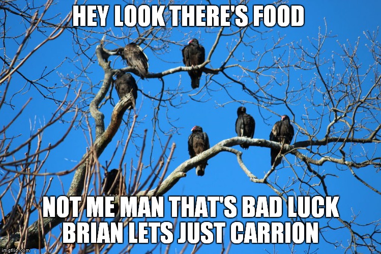HEY LOOK THERE'S FOOD NOT ME MAN THAT'S BAD LUCK BRIAN LETS JUST CARRION | made w/ Imgflip meme maker