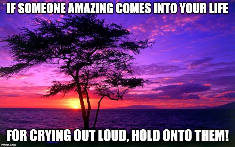 Someone Amazing | IF SOMEONE AMAZING COMES INTO YOUR LIFE; FOR CRYING OUT LOUD, HOLD ONTO THEM! | image tagged in sunrise purple beauty,someone comes into your life,hold onto them,love | made w/ Imgflip meme maker