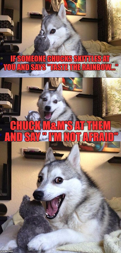 Bad Pun Dog | IF SOMEONE CHUCKS SKITTLES AT YOU AND SAYS "TASTE THE RAINBOW..."; CHUCK M&M'S AT THEM AND SAY " I'M NOT AFRAID" | image tagged in memes,bad pun dog | made w/ Imgflip meme maker