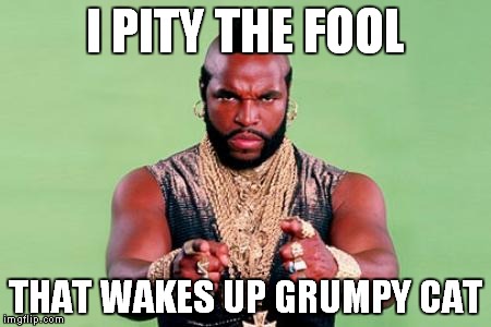 I PITY THE FOOL THAT WAKES UP GRUMPY CAT | made w/ Imgflip meme maker
