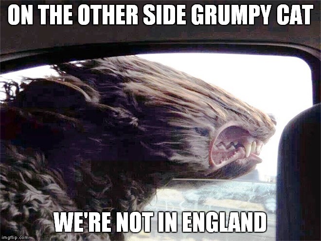 ON THE OTHER SIDE GRUMPY CAT WE'RE NOT IN ENGLAND | made w/ Imgflip meme maker