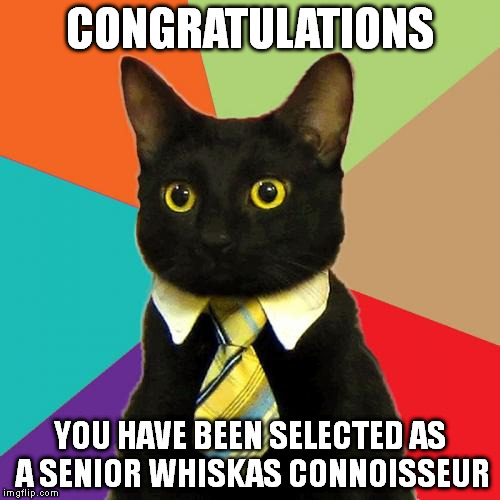 Business Cat Meme | CONGRATULATIONS; YOU HAVE BEEN SELECTED AS A SENIOR WHISKAS CONNOISSEUR | image tagged in memes,business cat | made w/ Imgflip meme maker