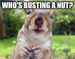 WHO'S BUSTING A NUT? | made w/ Imgflip meme maker