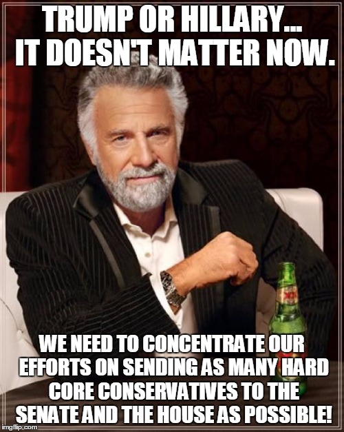 The Most Interesting Man In The World Meme | TRUMP OR HILLARY... IT DOESN'T MATTER NOW. WE NEED TO CONCENTRATE OUR EFFORTS ON SENDING AS MANY HARD CORE CONSERVATIVES TO THE SENATE AND THE HOUSE AS POSSIBLE! | image tagged in memes,the most interesting man in the world | made w/ Imgflip meme maker