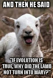 lamb | AND THEN HE SAID; "IF EVOLUTION IS TRUE, WHY DID THE LAMB NOT TURN INTO MARY?" | image tagged in lamb | made w/ Imgflip meme maker