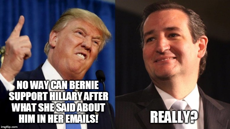 Trump Cruz | NO WAY CAN BERNIE SUPPORT HILLARY AFTER WHAT SHE SAID ABOUT HIM IN HER EMAILS! REALLY? | image tagged in trump,cruz,nevertrump | made w/ Imgflip meme maker