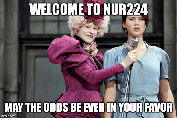Hunger Games | WELCOME TO NUR224; MAY THE ODDS BE EVER IN YOUR FAVOR | image tagged in hunger games | made w/ Imgflip meme maker