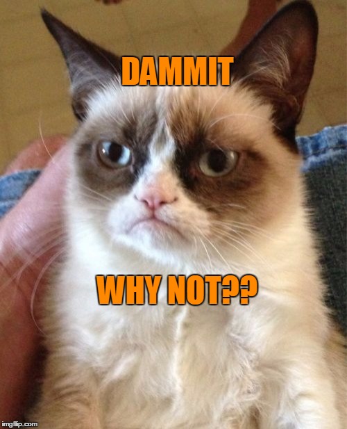 Grumpy Cat Meme | DAMMIT WHY NOT?? | image tagged in memes,grumpy cat | made w/ Imgflip meme maker