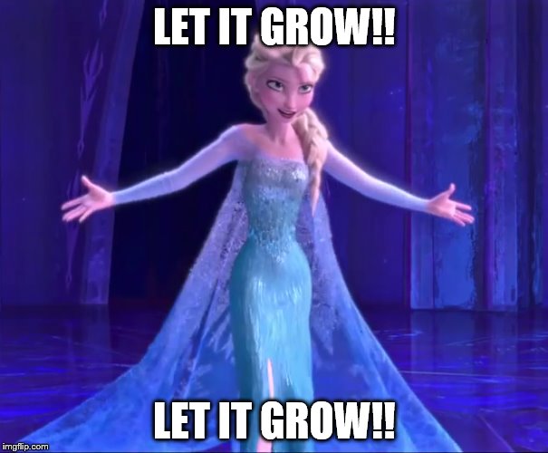 Let It Grow!! | LET IT GROW!! LET IT GROW!! | image tagged in frozen,frozen elsa | made w/ Imgflip meme maker