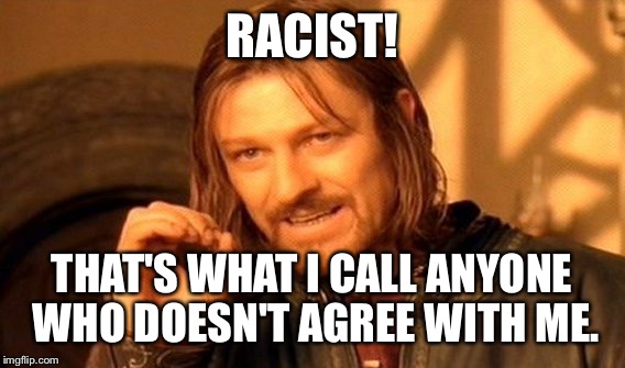 One Does Not Simply | RACIST! THAT'S WHAT I CALL ANYONE WHO DOESN'T AGREE WITH ME. | image tagged in memes,one does not simply | made w/ Imgflip meme maker