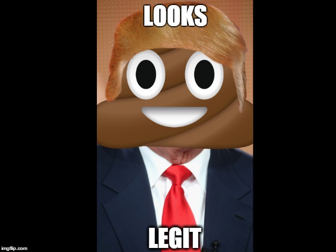 I see no problem with this picture. | LOOKS; LEGIT | image tagged in poop,donald trump,looks legit | made w/ Imgflip meme maker