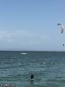 Carvin | image tagged in gifs | made w/ Imgflip images-to-gif maker