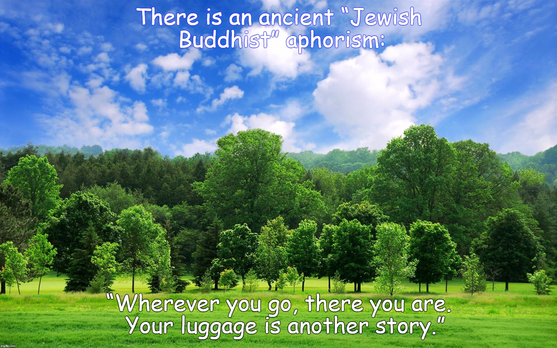 trees | There is an ancient “Jewish Buddhist” aphorism:; “Wherever you go, there you are.  Your luggage is another story.” | image tagged in trees | made w/ Imgflip meme maker