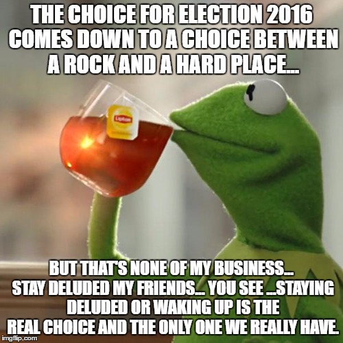 But That's None Of My Business Meme | THE CHOICE FOR ELECTION 2016 COMES DOWN TO A CHOICE BETWEEN A ROCK AND A HARD PLACE... BUT THAT'S NONE OF MY BUSINESS... STAY DELUDED MY FRIENDS... YOU SEE ...STAYING DELUDED OR WAKING UP IS THE REAL CHOICE AND THE ONLY ONE WE REALLY HAVE. | image tagged in memes,but thats none of my business,kermit the frog | made w/ Imgflip meme maker