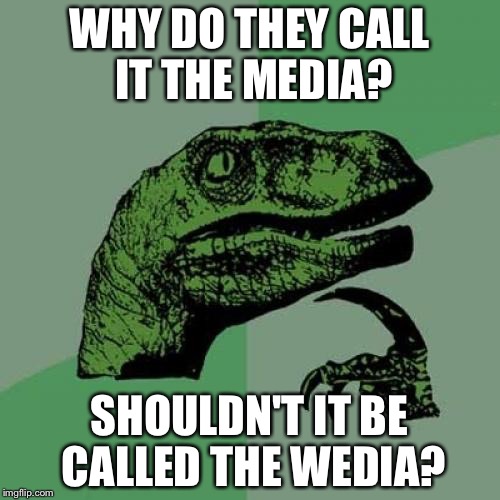 Philosoraptor | WHY DO THEY CALL IT THE MEDIA? SHOULDN'T IT BE CALLED THE WEDIA? | image tagged in memes,philosoraptor | made w/ Imgflip meme maker