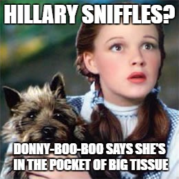 HILLARY SNIFFLES? DONNY-BOO-BOO SAYS SHE'S IN THE POCKET OF BIG TISSUE | image tagged in hillary,trump | made w/ Imgflip meme maker