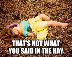 THAT'S NOT WHAT YOU SAID IN THE HAY | made w/ Imgflip meme maker