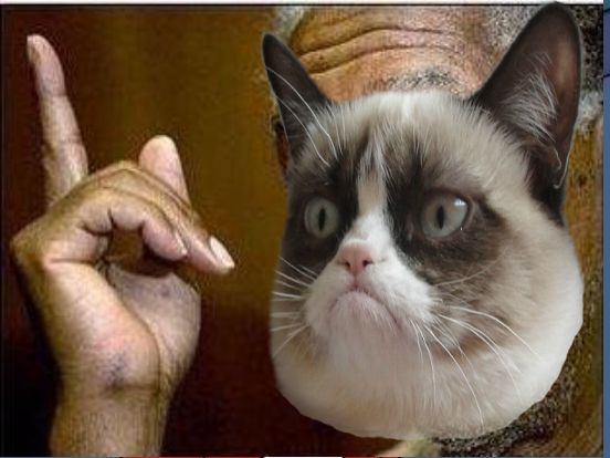 Grumpy Cat He's Right You Know Blank Meme Template