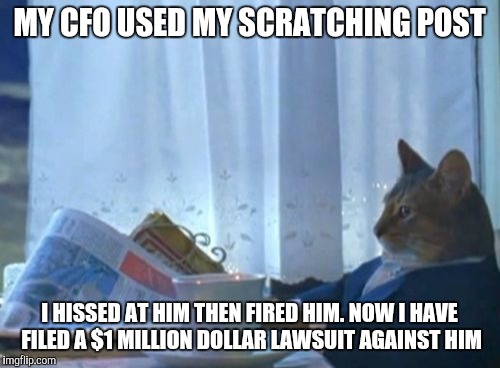I Should Buy A Boat Cat | MY CFO USED MY SCRATCHING POST; I HISSED AT HIM THEN FIRED HIM. NOW I HAVE FILED A $1 MILLION DOLLAR LAWSUIT AGAINST HIM | image tagged in memes,i should buy a boat cat | made w/ Imgflip meme maker