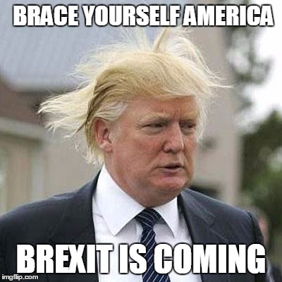 Donald Trump | BRACE YOURSELF AMERICA; BREXIT IS COMING | image tagged in donald trump | made w/ Imgflip meme maker