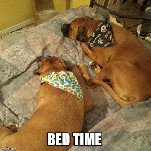 BED TIME | made w/ Imgflip meme maker