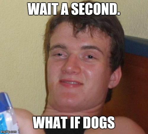 10 Guy | WAIT A SECOND. WHAT IF DOGS | image tagged in memes,10 guy | made w/ Imgflip meme maker