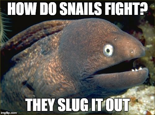 Bad Joke Eel | HOW DO SNAILS FIGHT? THEY SLUG IT OUT | image tagged in memes,bad joke eel | made w/ Imgflip meme maker