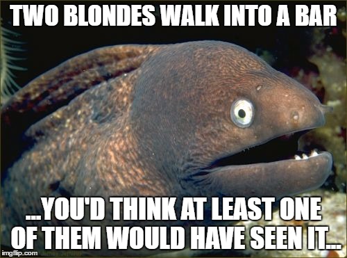 Bad Joke Eel Meme | TWO BLONDES WALK INTO A BAR; ...YOU'D THINK AT LEAST ONE OF THEM WOULD HAVE SEEN IT... | image tagged in memes,bad joke eel | made w/ Imgflip meme maker