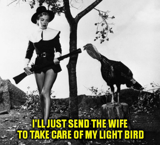 I'LL JUST SEND THE WIFE TO TAKE CARE OF MY LIGHT BIRD | made w/ Imgflip meme maker