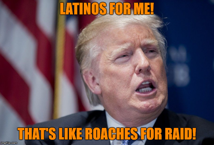 Donald Trump Derp | LATINOS FOR ME! THAT'S LIKE ROACHES FOR RAID! | image tagged in donald trump derp | made w/ Imgflip meme maker