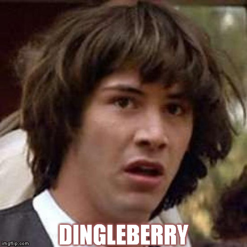 Conspiracy Keanu | DINGLEBERRY | image tagged in memes,conspiracy keanu | made w/ Imgflip meme maker