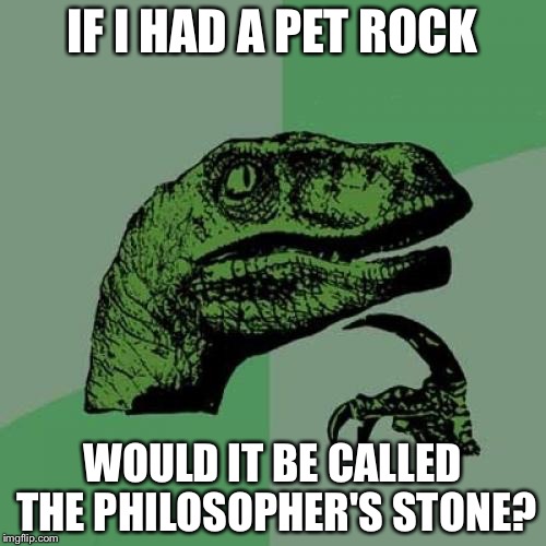 Philosoraptor | IF I HAD A PET ROCK; WOULD IT BE CALLED THE PHILOSOPHER'S STONE? | image tagged in memes,philosoraptor | made w/ Imgflip meme maker