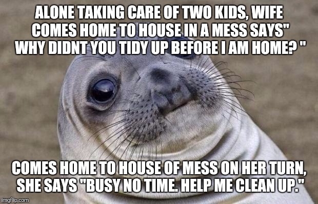 Awkward Moment Sealion | ALONE TAKING CARE OF TWO KIDS, WIFE COMES HOME TO HOUSE IN A MESS SAYS" WHY DIDNT YOU TIDY UP BEFORE I AM HOME? "; COMES HOME TO HOUSE OF MESS ON HER TURN, SHE SAYS "BUSY NO TIME. HELP ME CLEAN UP." | image tagged in memes,awkward moment sealion | made w/ Imgflip meme maker