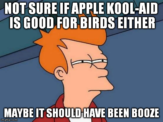 Futurama Fry Meme | NOT SURE IF APPLE KOOL-AID IS GOOD FOR BIRDS EITHER MAYBE IT SHOULD HAVE BEEN BOOZE | image tagged in memes,futurama fry | made w/ Imgflip meme maker