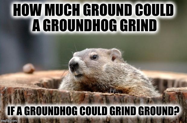 Groundhog | HOW MUCH GROUND COULD A GROUNDHOG GRIND; IF A GROUNDHOG COULD GRIND GROUND? | image tagged in groundhog | made w/ Imgflip meme maker