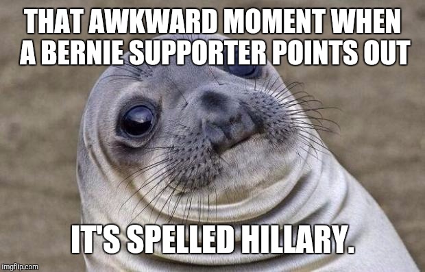 Awkward Moment Sealion Meme | THAT AWKWARD MOMENT WHEN A BERNIE SUPPORTER POINTS OUT IT'S SPELLED HILLARY. | image tagged in memes,awkward moment sealion | made w/ Imgflip meme maker
