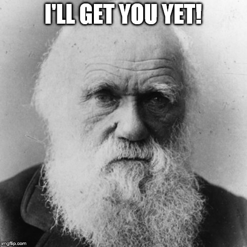 I'LL GET YOU YET! | image tagged in darwin | made w/ Imgflip meme maker