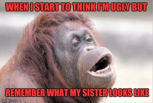 Monkey OOH | WHEN I START TO THINK I'M UGLY BUT; REMEMBER WHAT MY SISTER LOOKS LIKE | image tagged in memes,monkey ooh | made w/ Imgflip meme maker