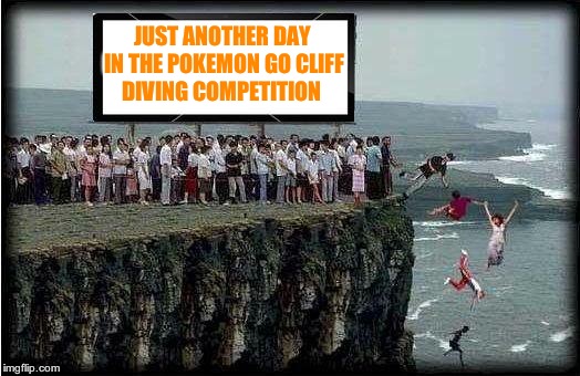 looks like fun | JUST ANOTHER DAY IN THE POKEMON GO CLIFF DIVING COMPETITION | image tagged in pokemon go | made w/ Imgflip meme maker