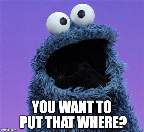 cookie monster | YOU WANT TO PUT THAT WHERE? | image tagged in cookie monster | made w/ Imgflip meme maker