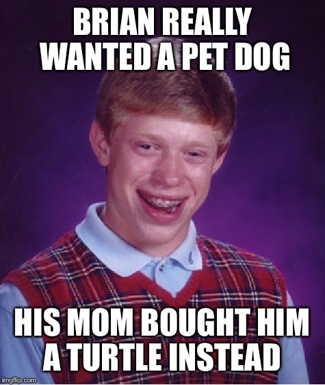 Bad Luck Brian Meme | BRIAN REALLY WANTED A PET DOG HIS MOM BOUGHT HIM A TURTLE INSTEAD | image tagged in memes,bad luck brian | made w/ Imgflip meme maker