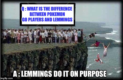 human lemmings | Q : WHAT IS THE DIFFERENCE BETWEEN POKEMON GO PLAYERS AND LEMMINGS; A : LEMMINGS DO IT ON PURPOSE | image tagged in omg pokemon go | made w/ Imgflip meme maker