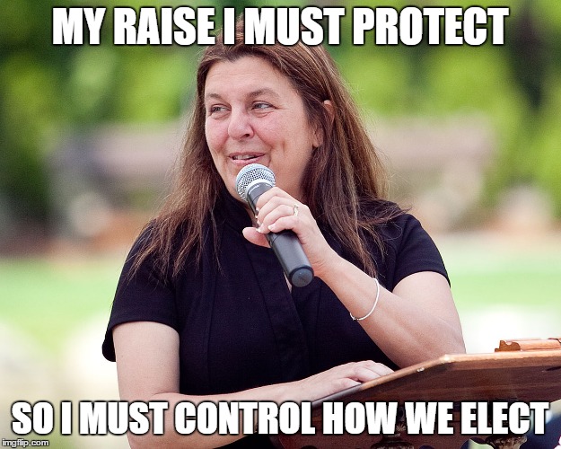 VOTING MATTERS THAT MATTER | MY RAISE I MUST PROTECT; SO I MUST CONTROL HOW WE ELECT | image tagged in mayor,city council,net school spending | made w/ Imgflip meme maker
