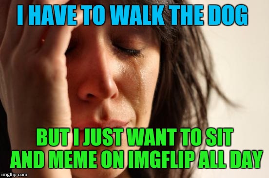 First World Problems | I HAVE TO WALK THE DOG; BUT I JUST WANT TO SIT AND MEME ON IMGFLIP ALL DAY | image tagged in memes,first world problems | made w/ Imgflip meme maker