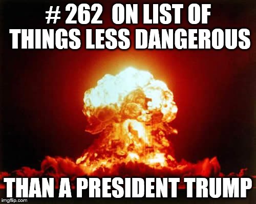 Nuclear Explosion | # 262  ON LIST OF THINGS LESS DANGEROUS; THAN A PRESIDENT TRUMP | image tagged in memes,nuclear explosion | made w/ Imgflip meme maker